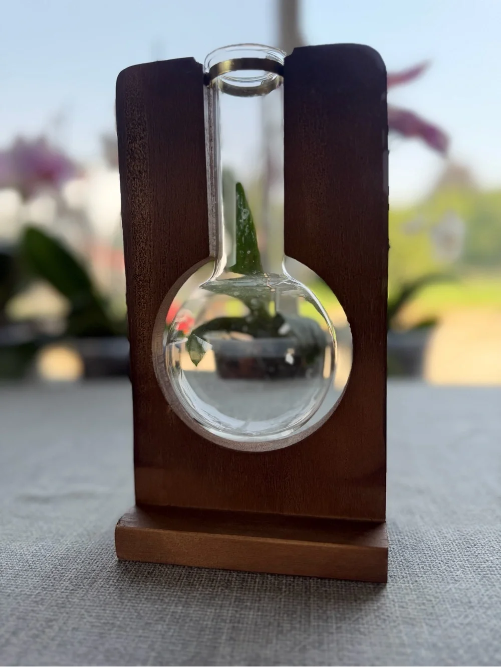 Hanging Glass Bulb Vase Propagation Station Wooden Stand Plant Terrarium Clear